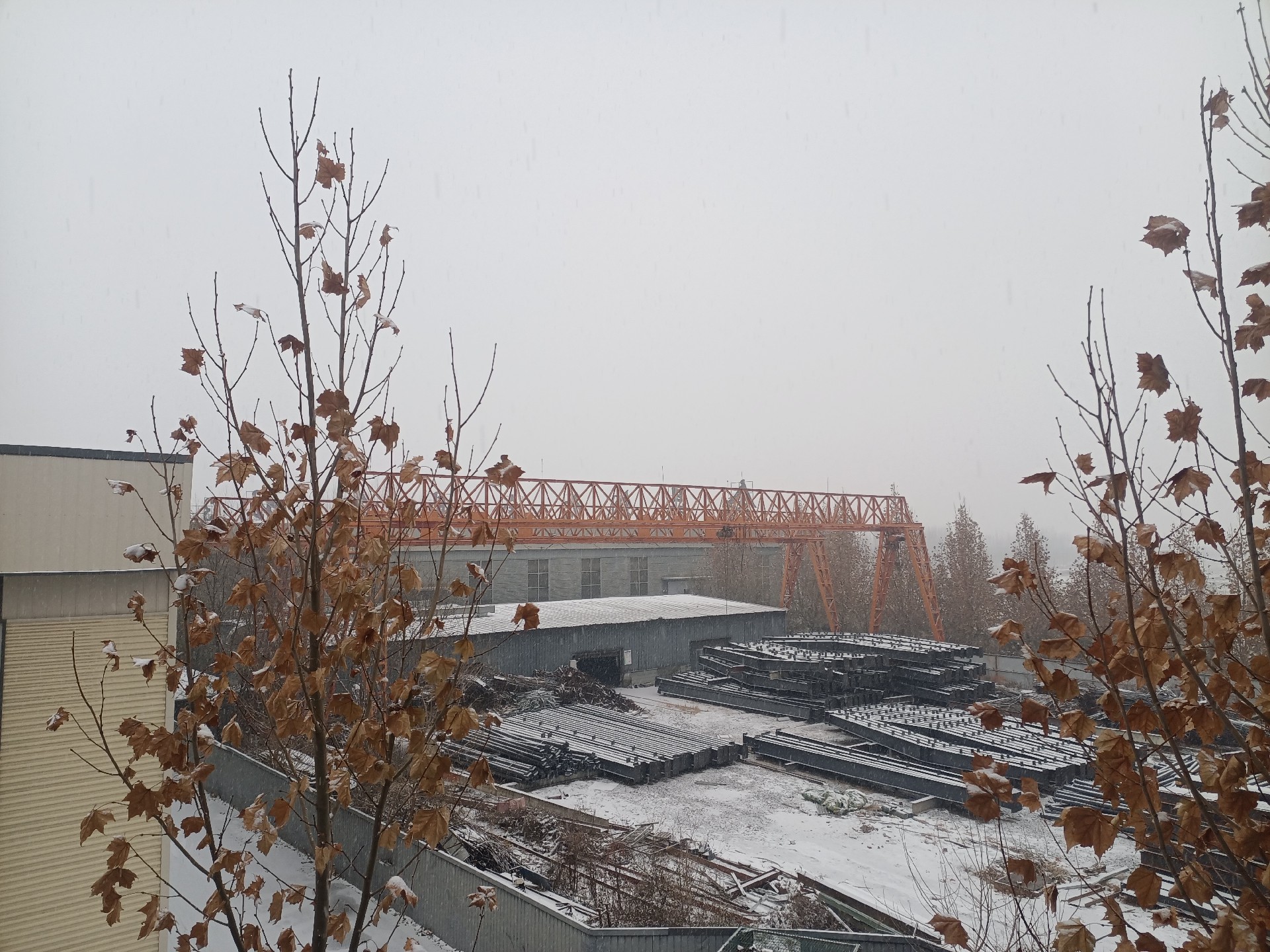 衡水鋼結構,衡水鋼結構廠,衡水鋼結構廠房,衡水鋼結構廠家，衡水廠房車間加工，衡水鋼結構--金鼎鋼構廠雪景貨場